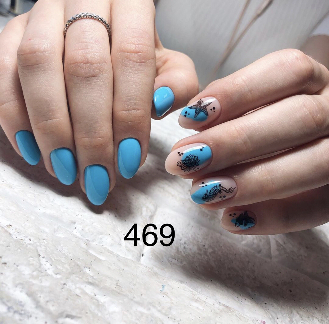 קונכיות וכוכבי ים 469