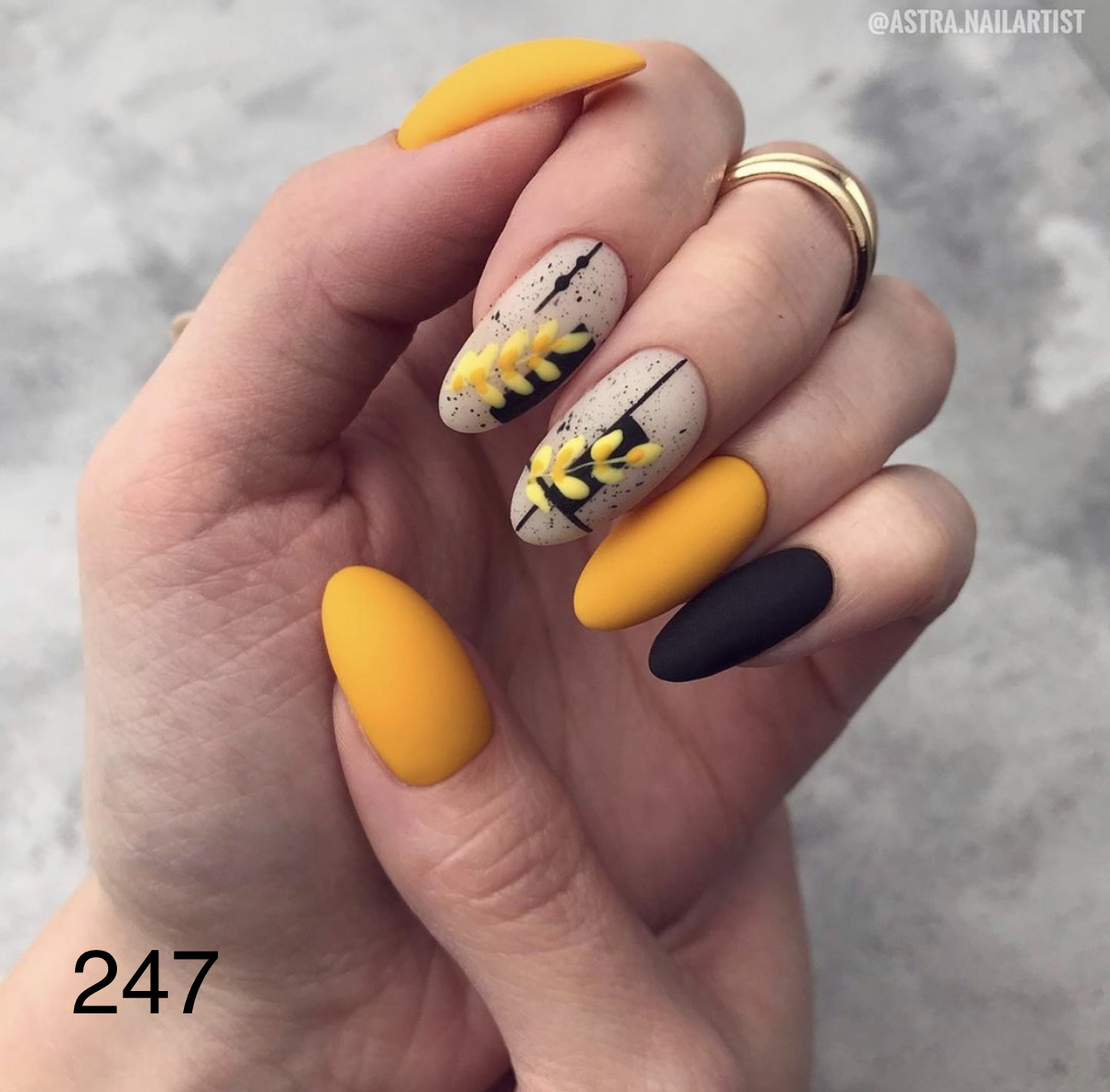 Diva 247