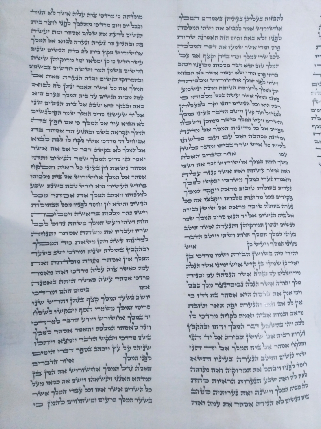 Deluxe Chabad Arizal Megillah