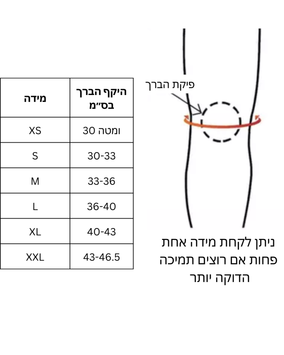 ברכיות - IRON BULL