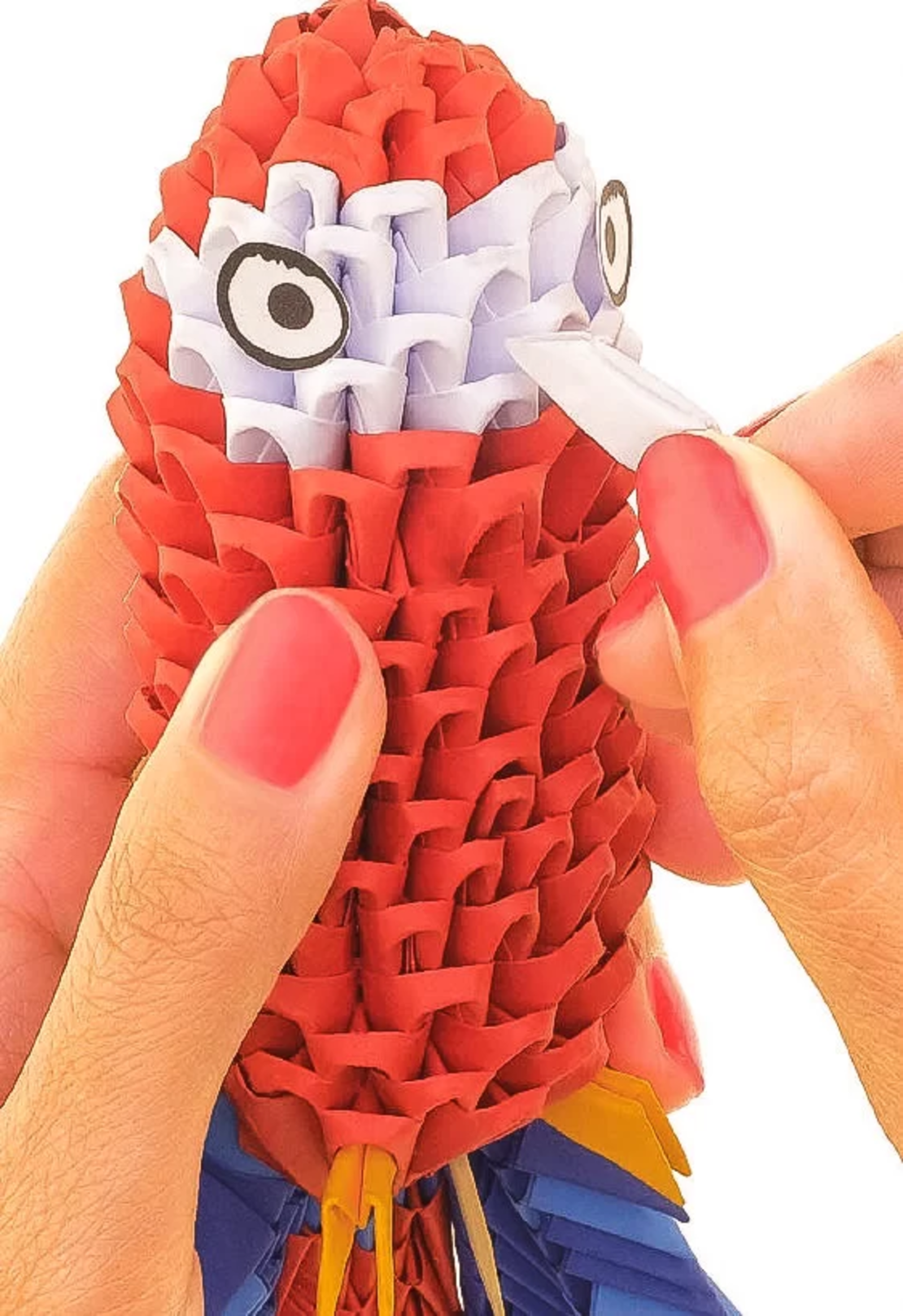 אוריגמי 3D - תוכי