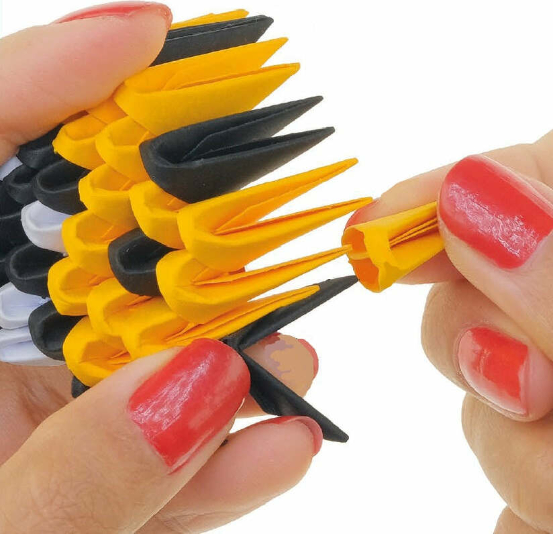 אוריגמי 3D - חיפושיות