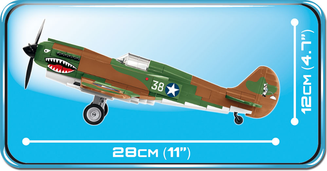 קורטיס P-40E נץ מלחמה