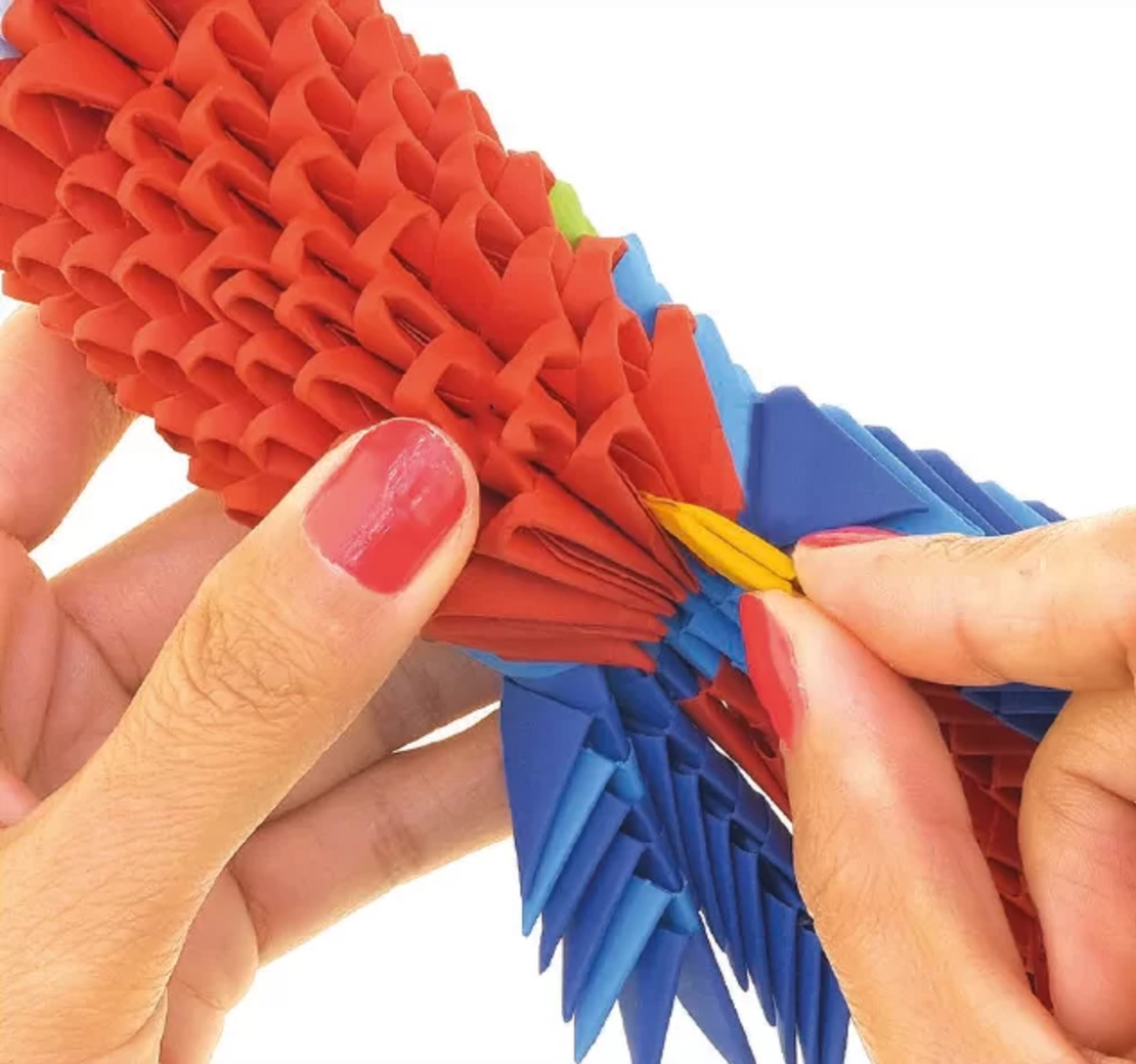 אוריגמי 3D - תוכי