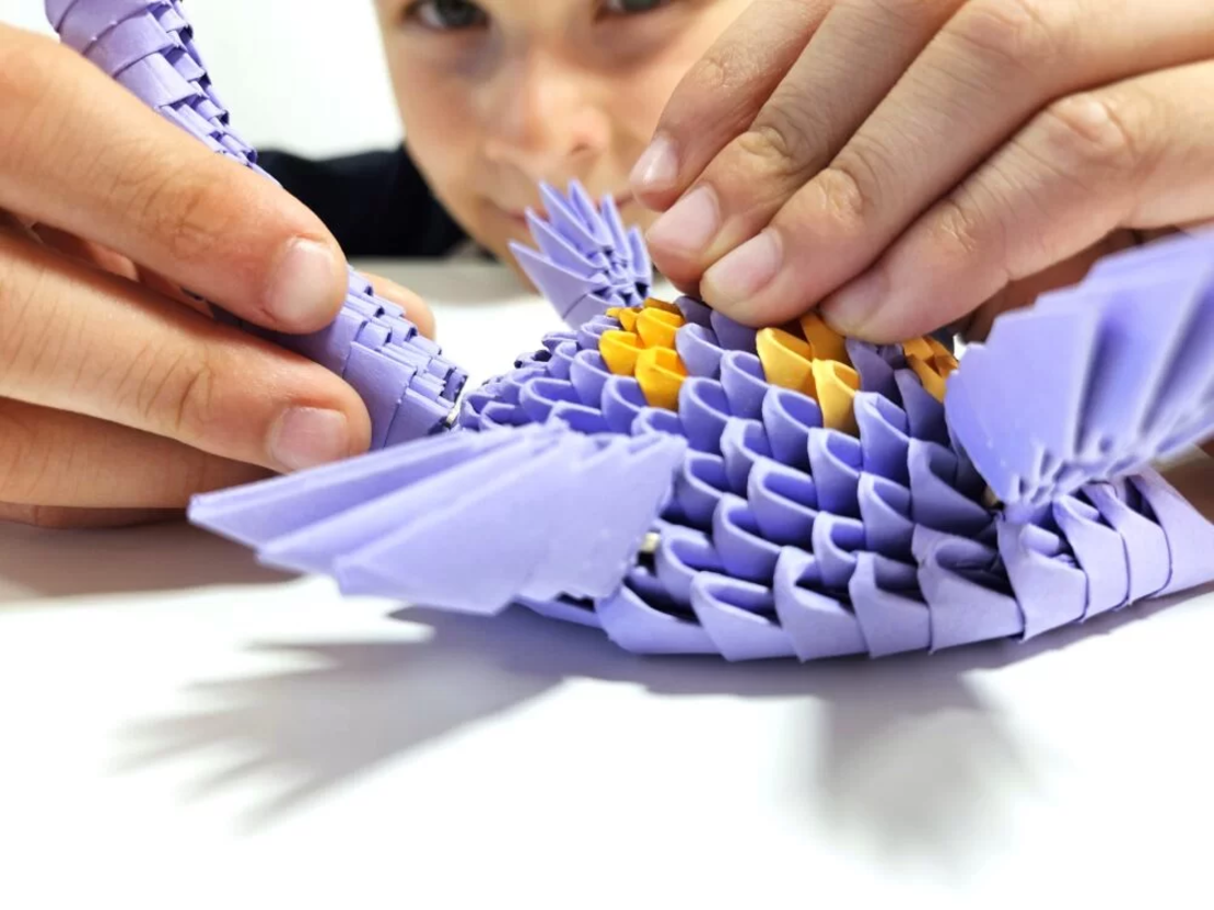 אוריגמי 3D - פלסיוזאורוס