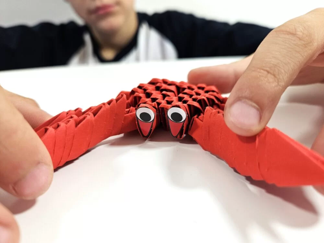 אוריגמי 3D - סרטנים