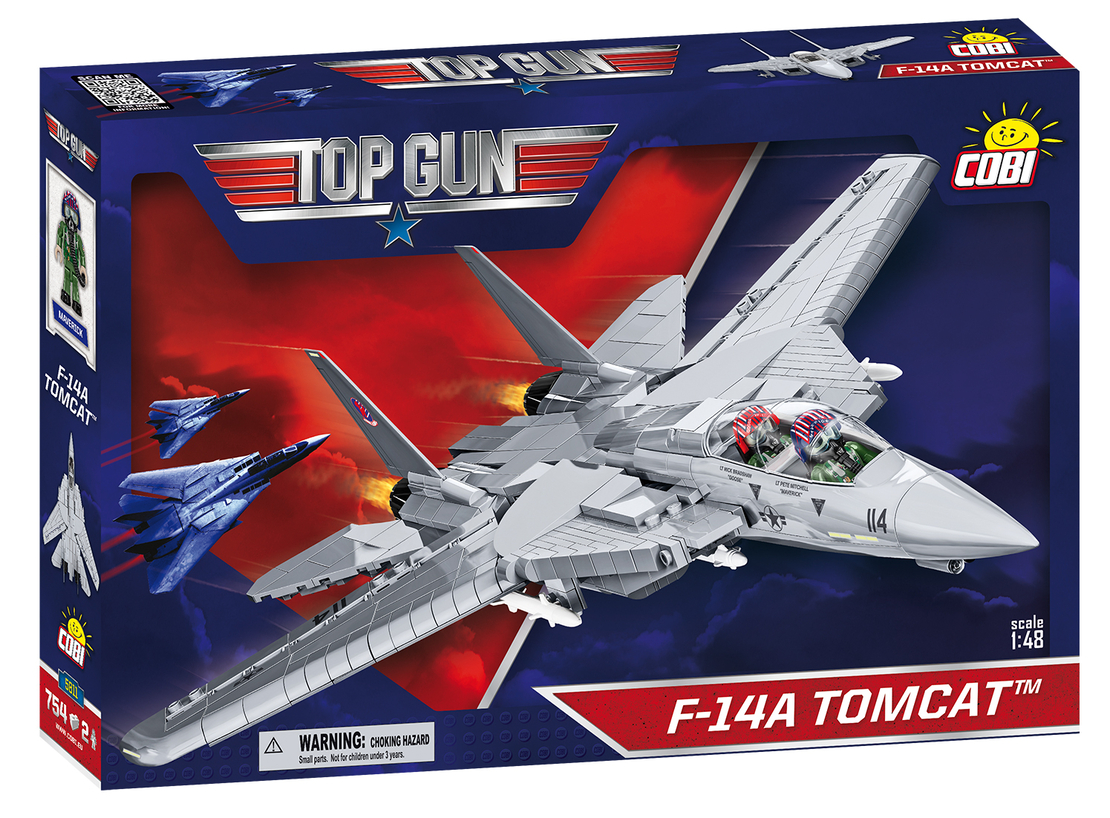 F-14 טומקאט