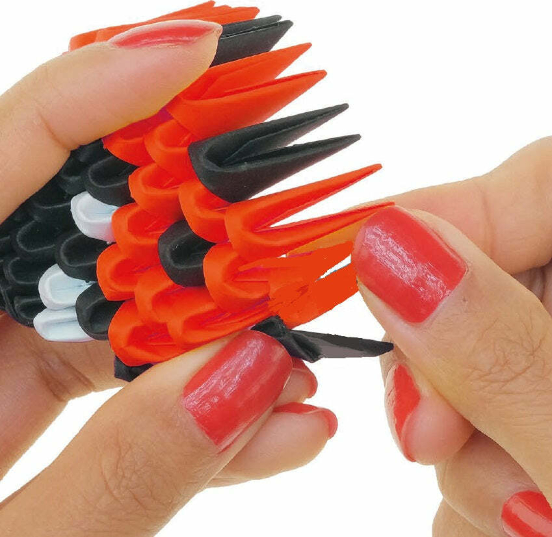 אוריגמי 3D - חיפושיות