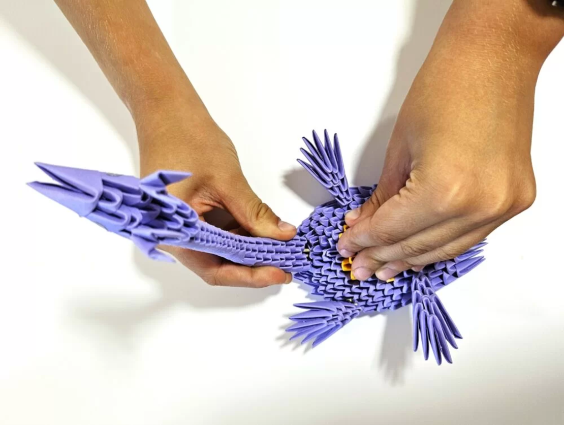אוריגמי 3D - פלסיוזאורוס