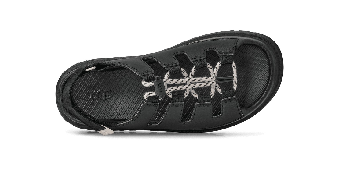 גולדנגלואו טאגל - שחור