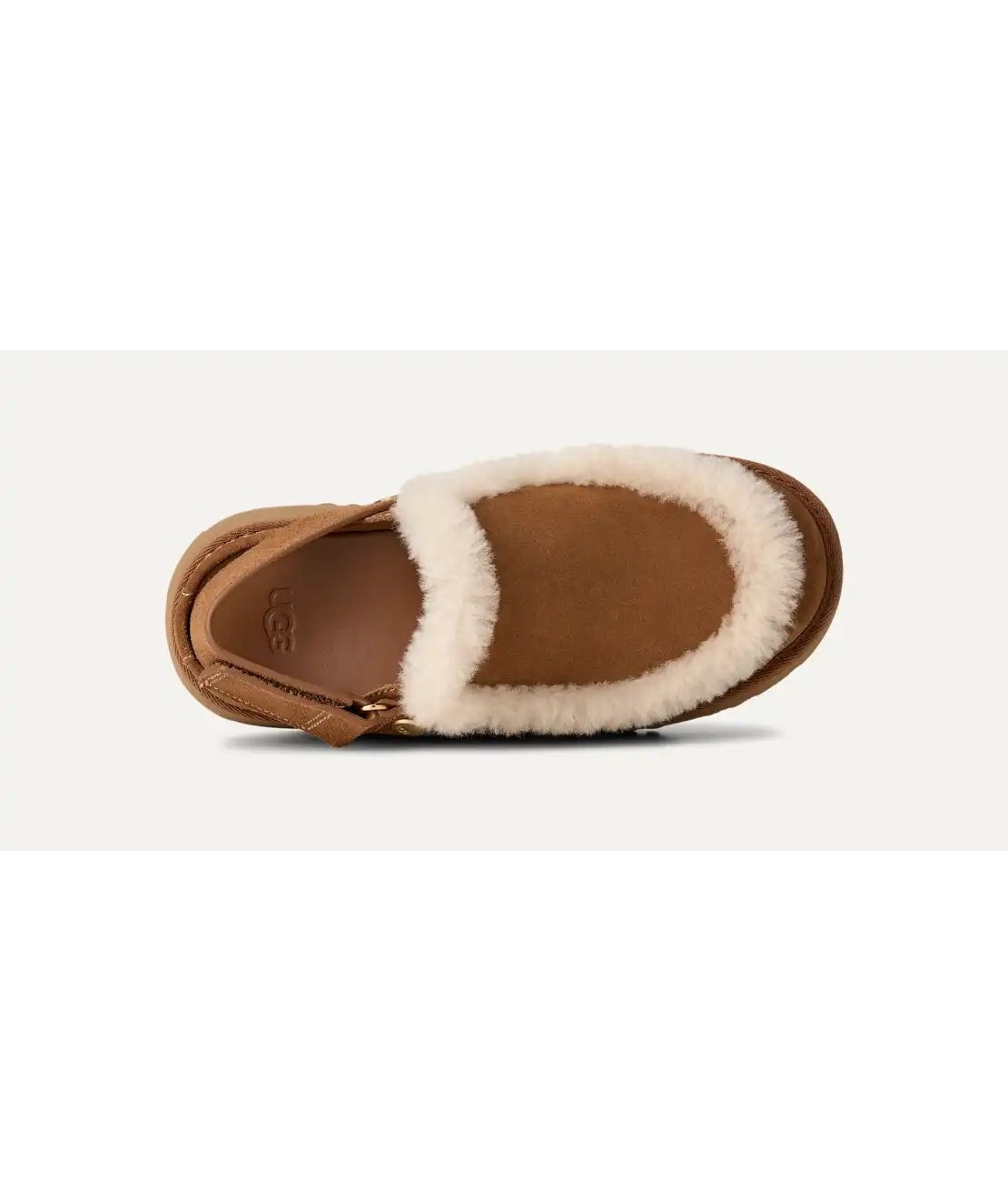 UGG אסמי קלוג צאסנט