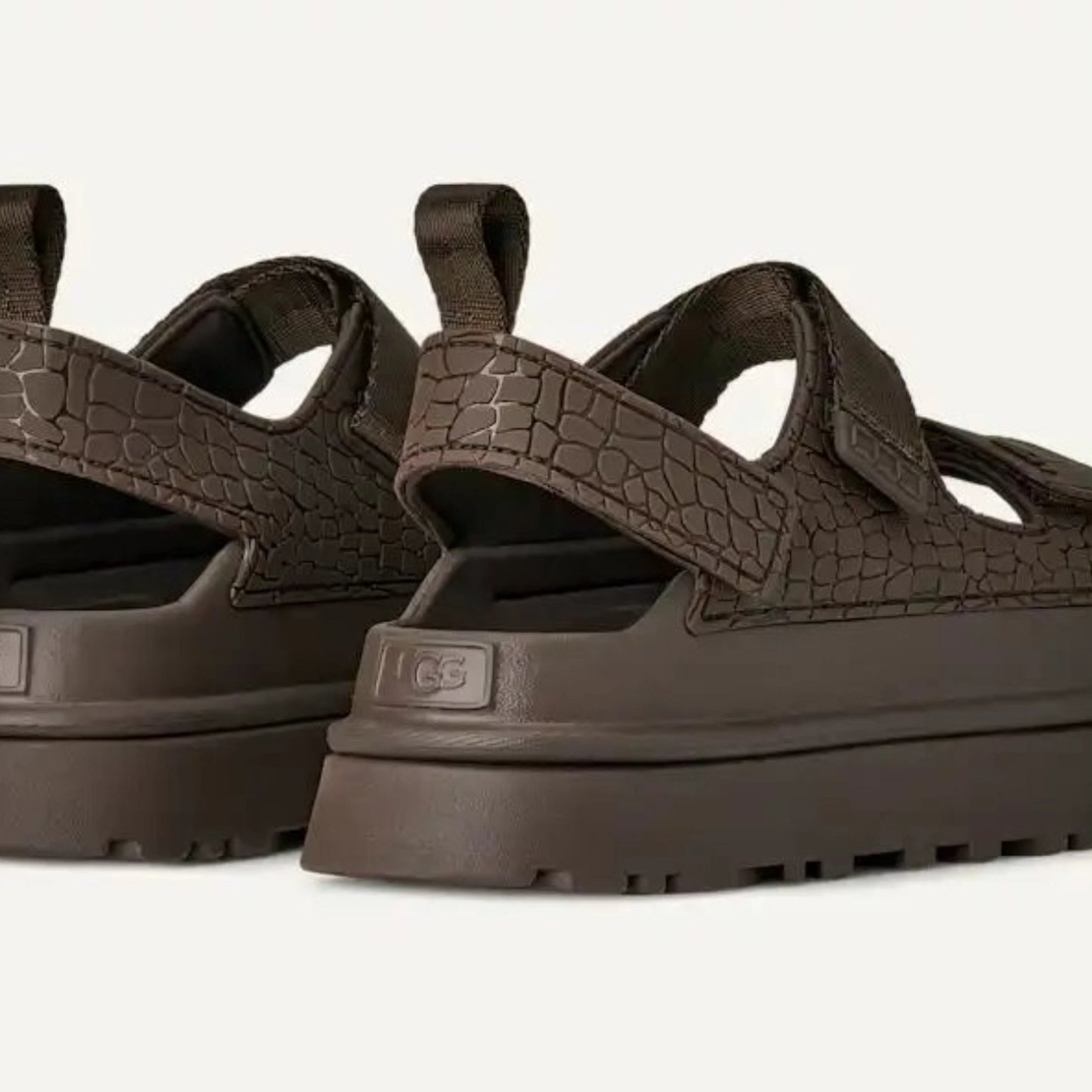 UGG גולדנגלואו אמבוס