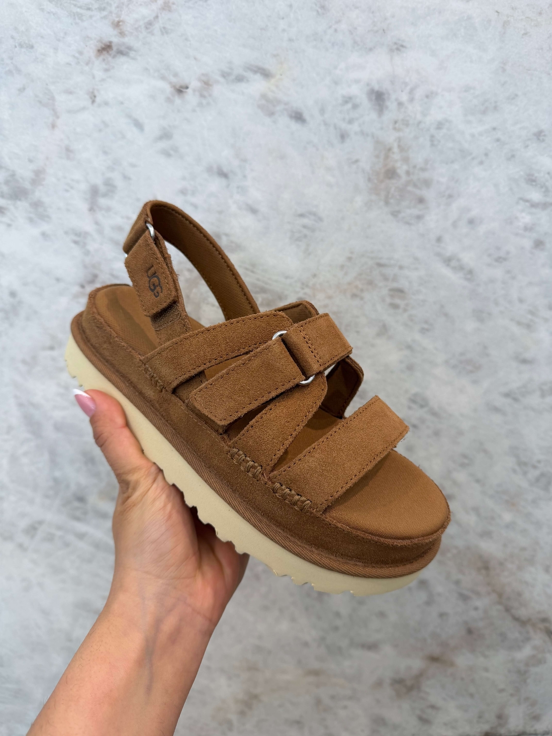 גולדנסטאר גלאם - צ׳סנאט