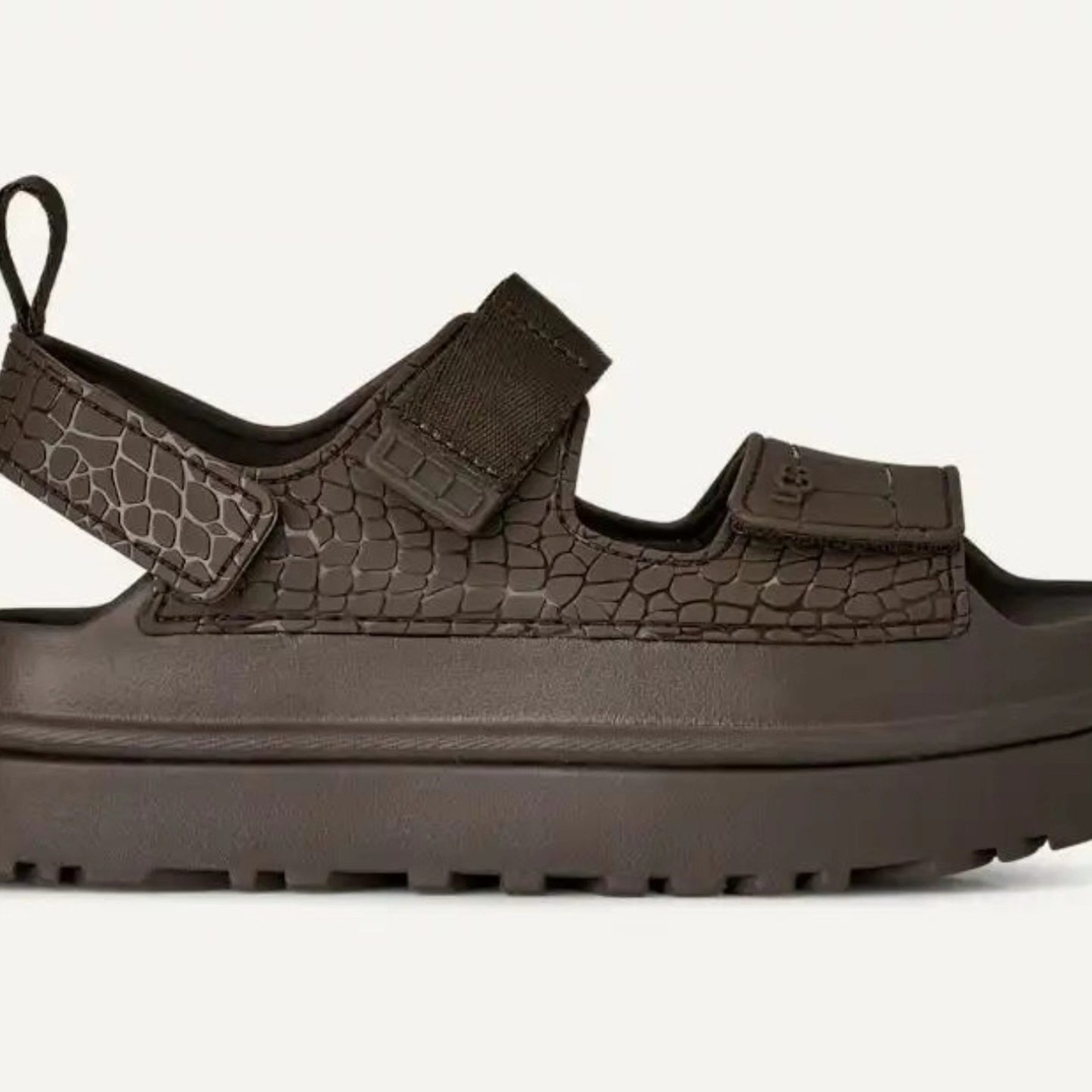 UGG גולדנגלואו אמבוס