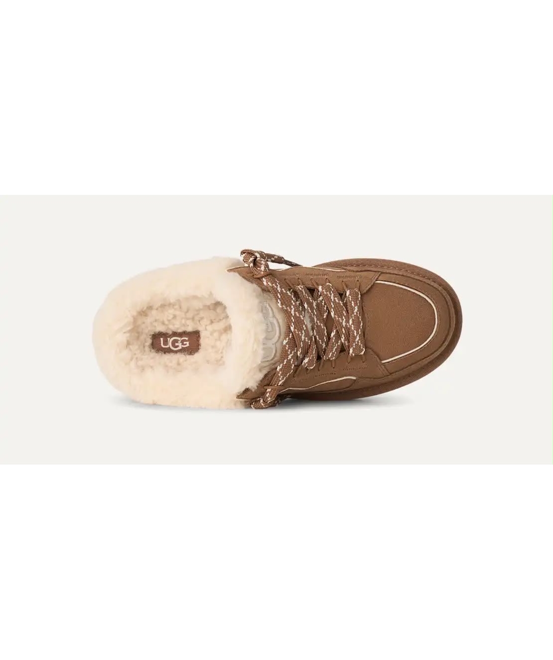 Lowmel mule- chesnut