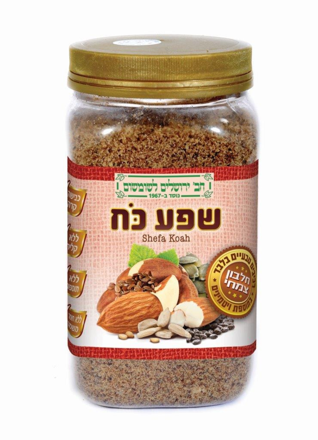 שפע כח - חברת ירושלים 