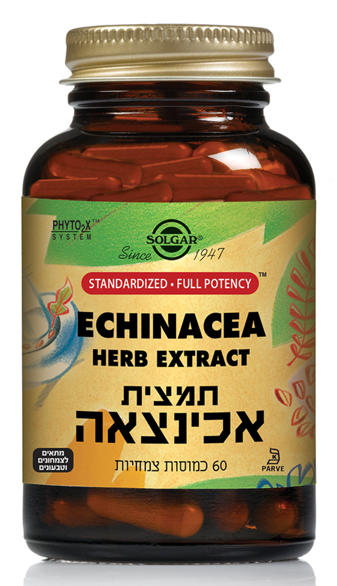 תמצית אכינצאה 60 כמוסות