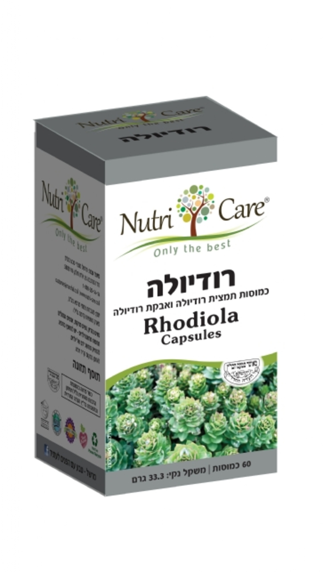 רודיולה