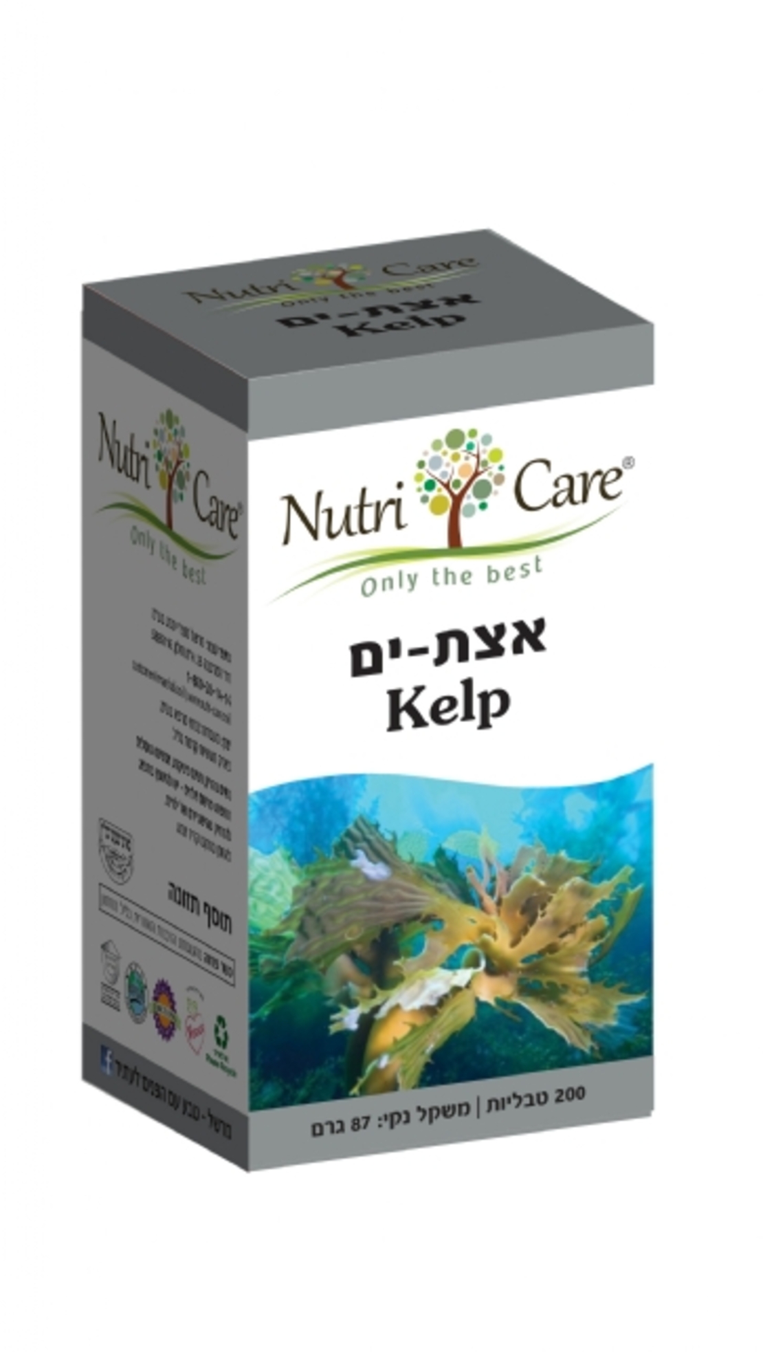 אצות ים