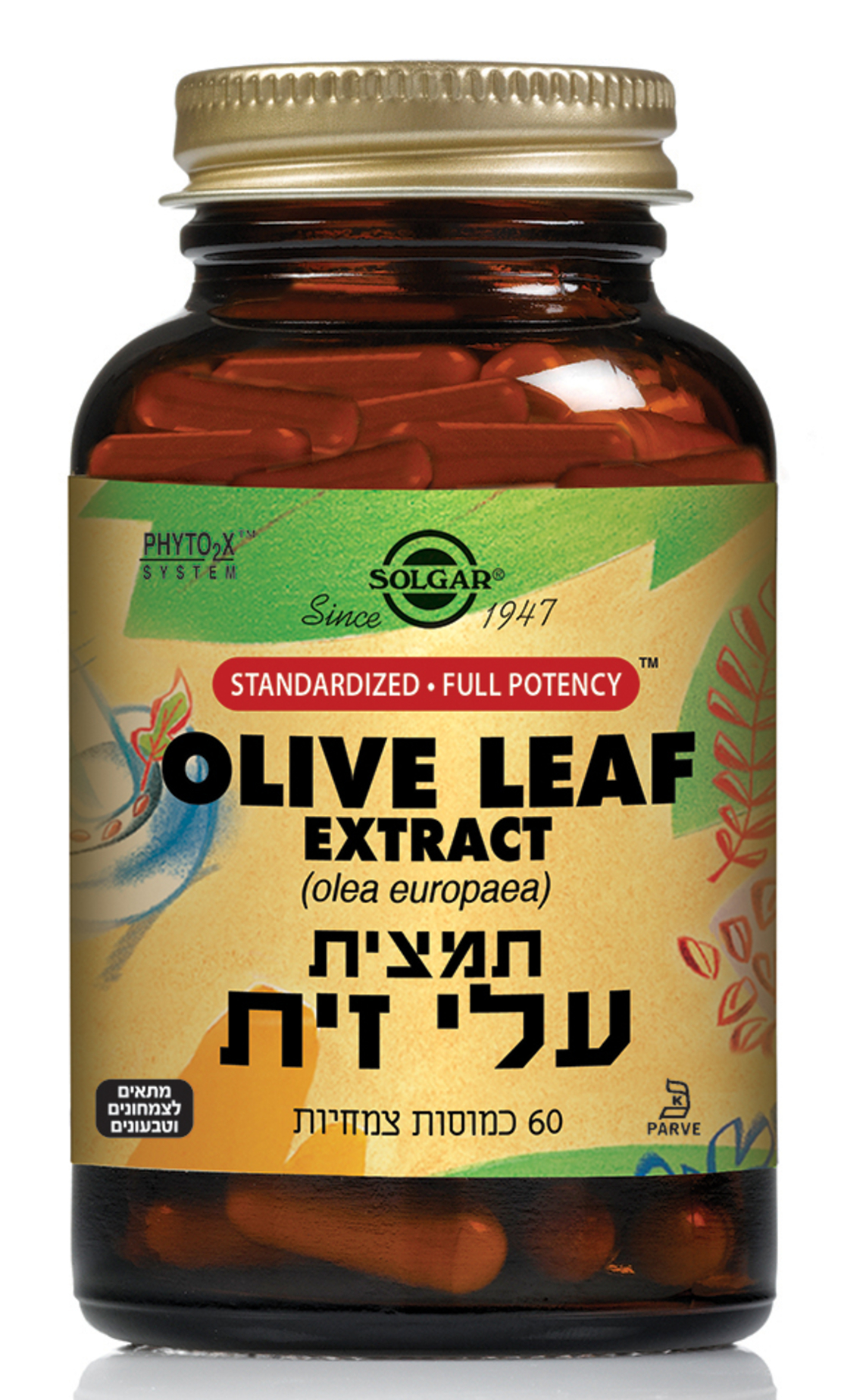 תמצית עלי זית 60 כמוסות