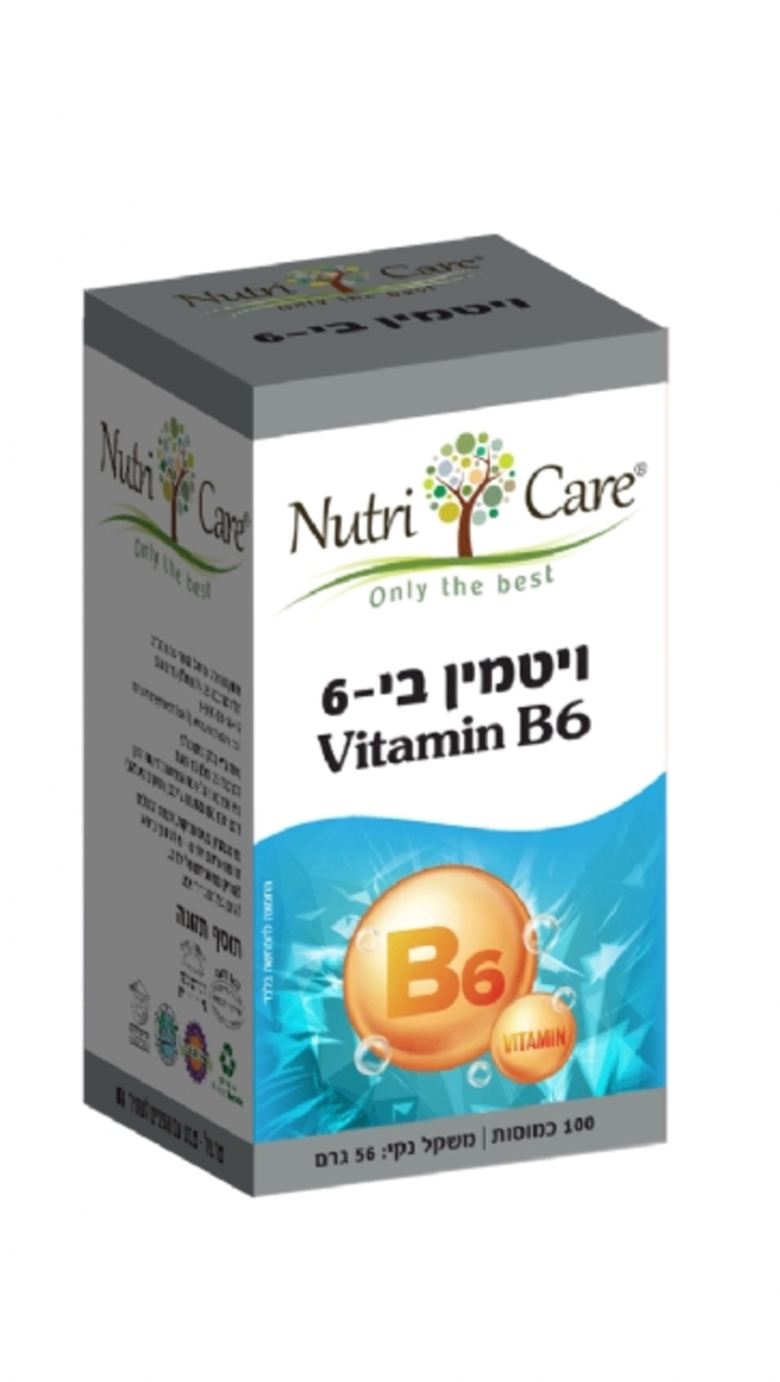 ויטמין B6