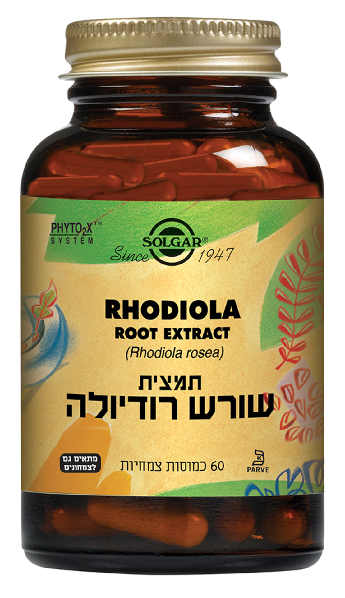 תמצית שורש רודיולה 60 כמוסות