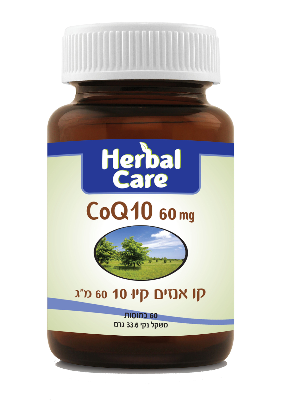 קיו 10 60 מ