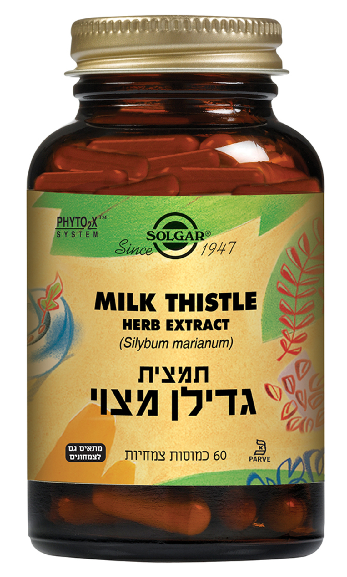 תמצית גדילן מצוי 60 כמוסות