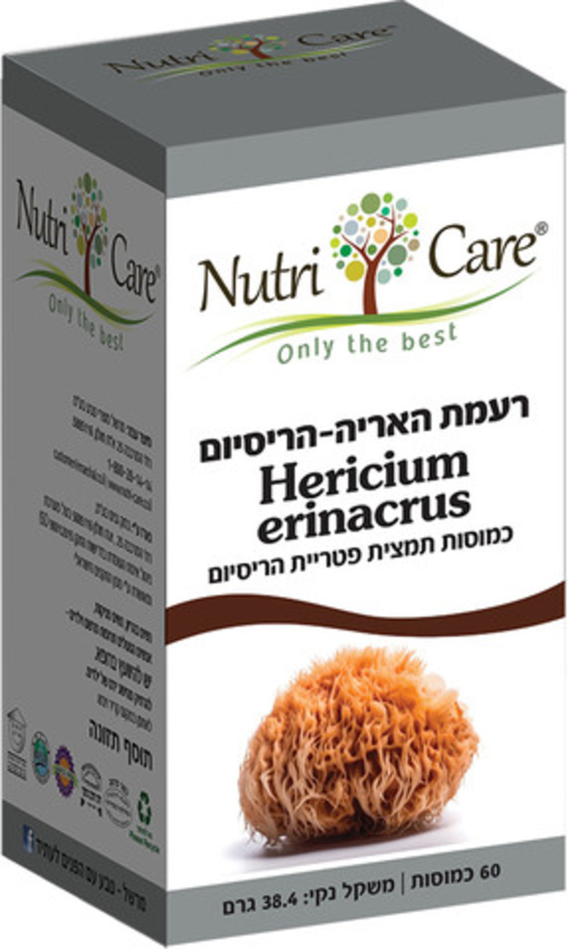 רעמת האריה