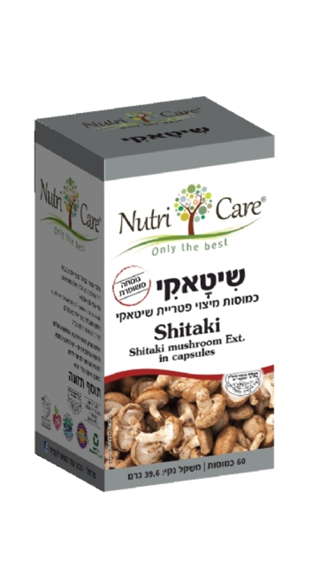 שיטאקי