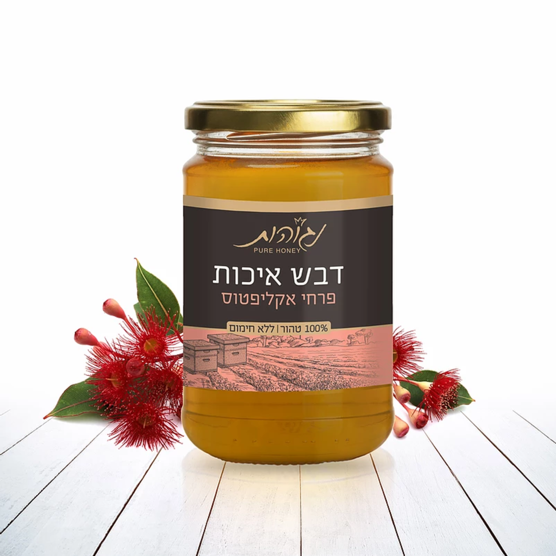 דבש טהור מפרחי אקליפטוס - נגוהות 1 קילו