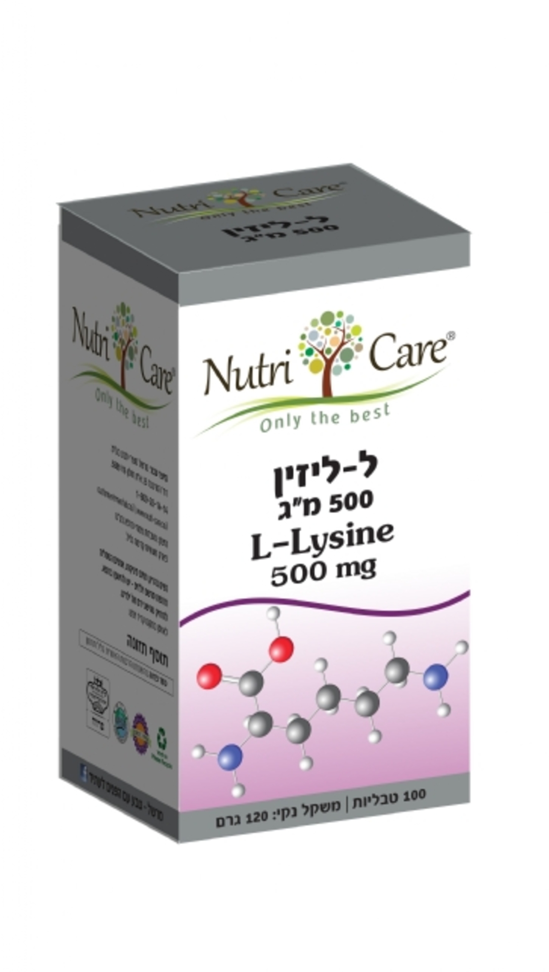 ל- ליזין