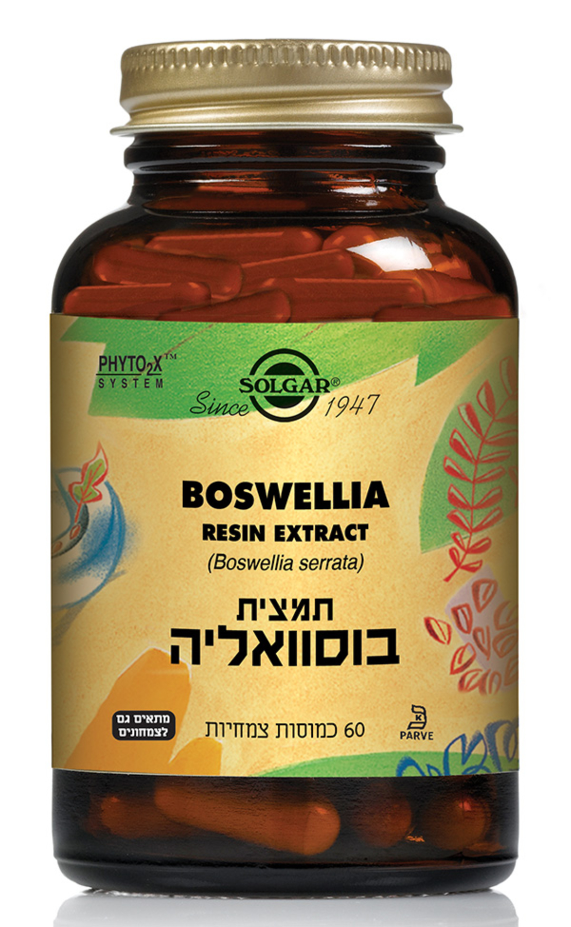 תמצית בוסוואליה 60 כמוסות