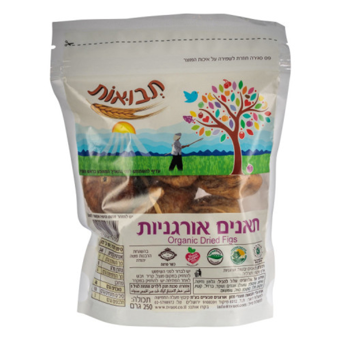 תאנים אורגני