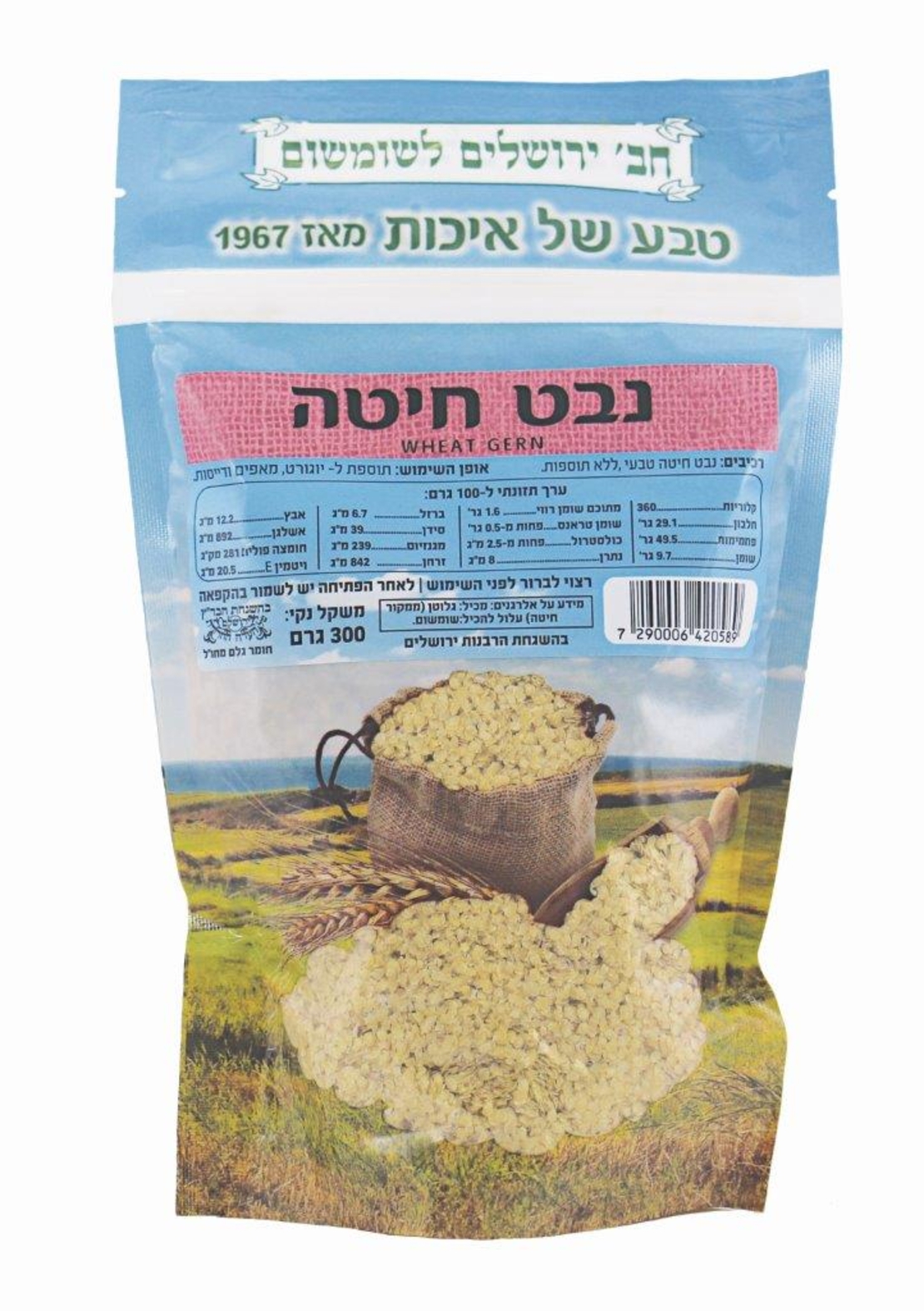 נבט חיטה - חברת ירושלים