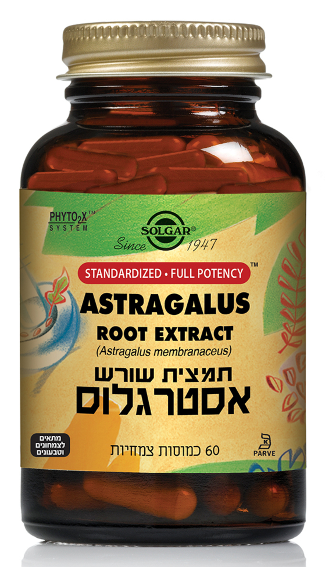 תמצית אסטרגלוס 60 כמוסות