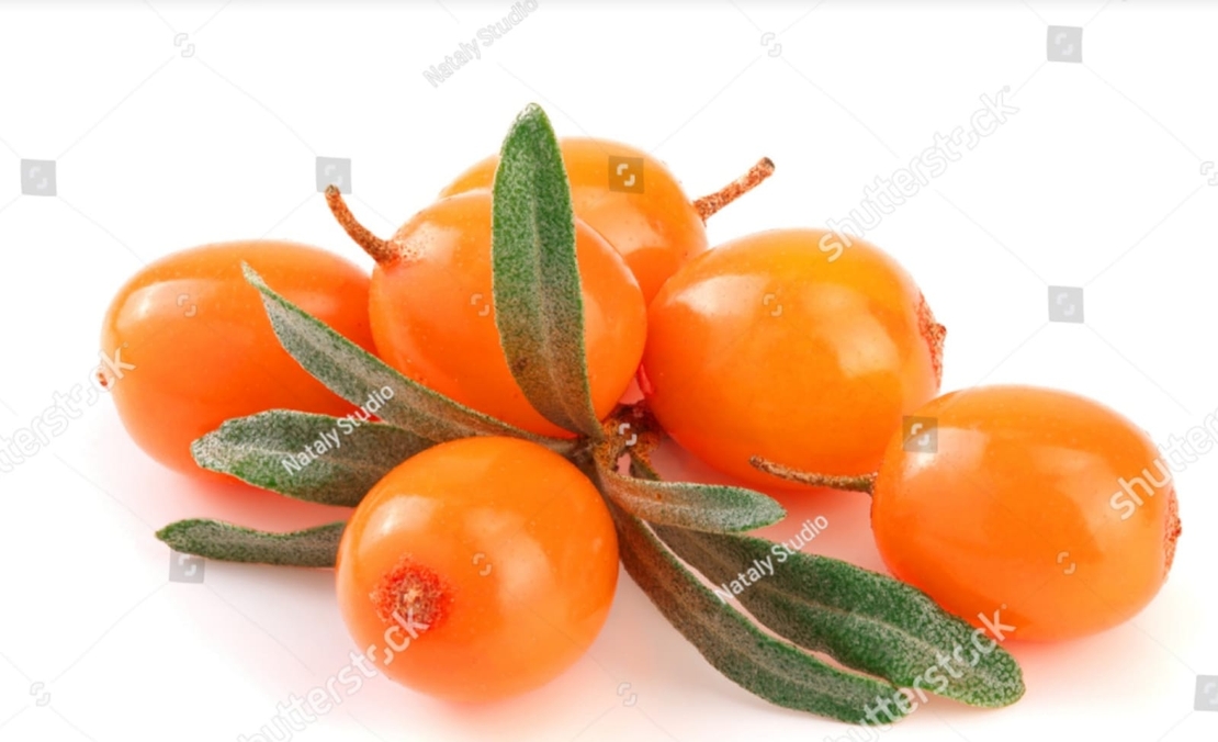אובליפיחה קפוא 1 ק