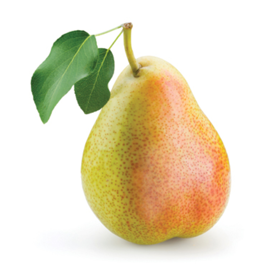 אגס מובחר (קייג)