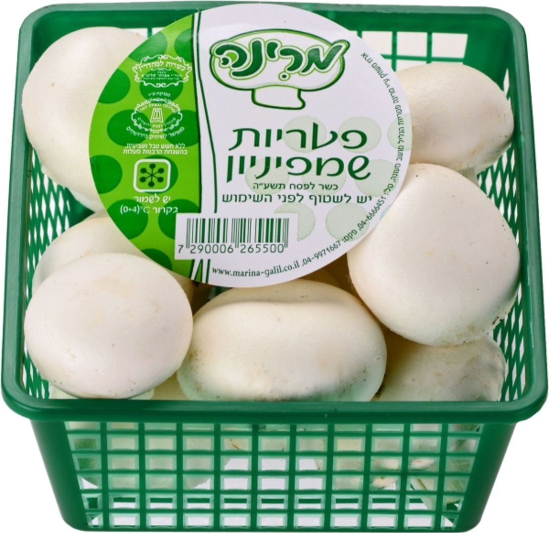פטריות שמפניון (מארז)