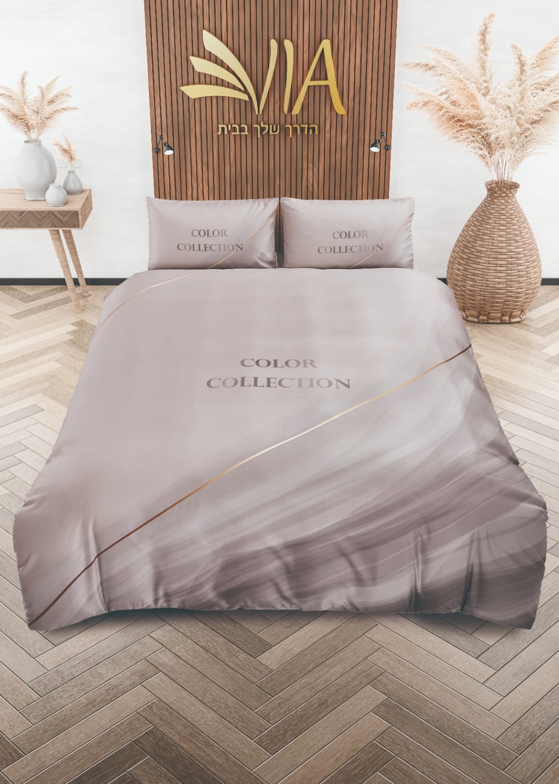 -דגם קולור 6