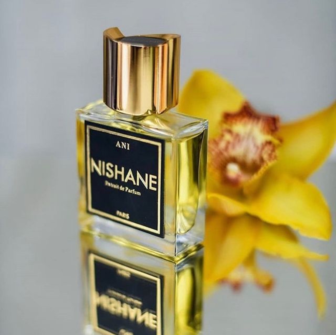 nishane ani