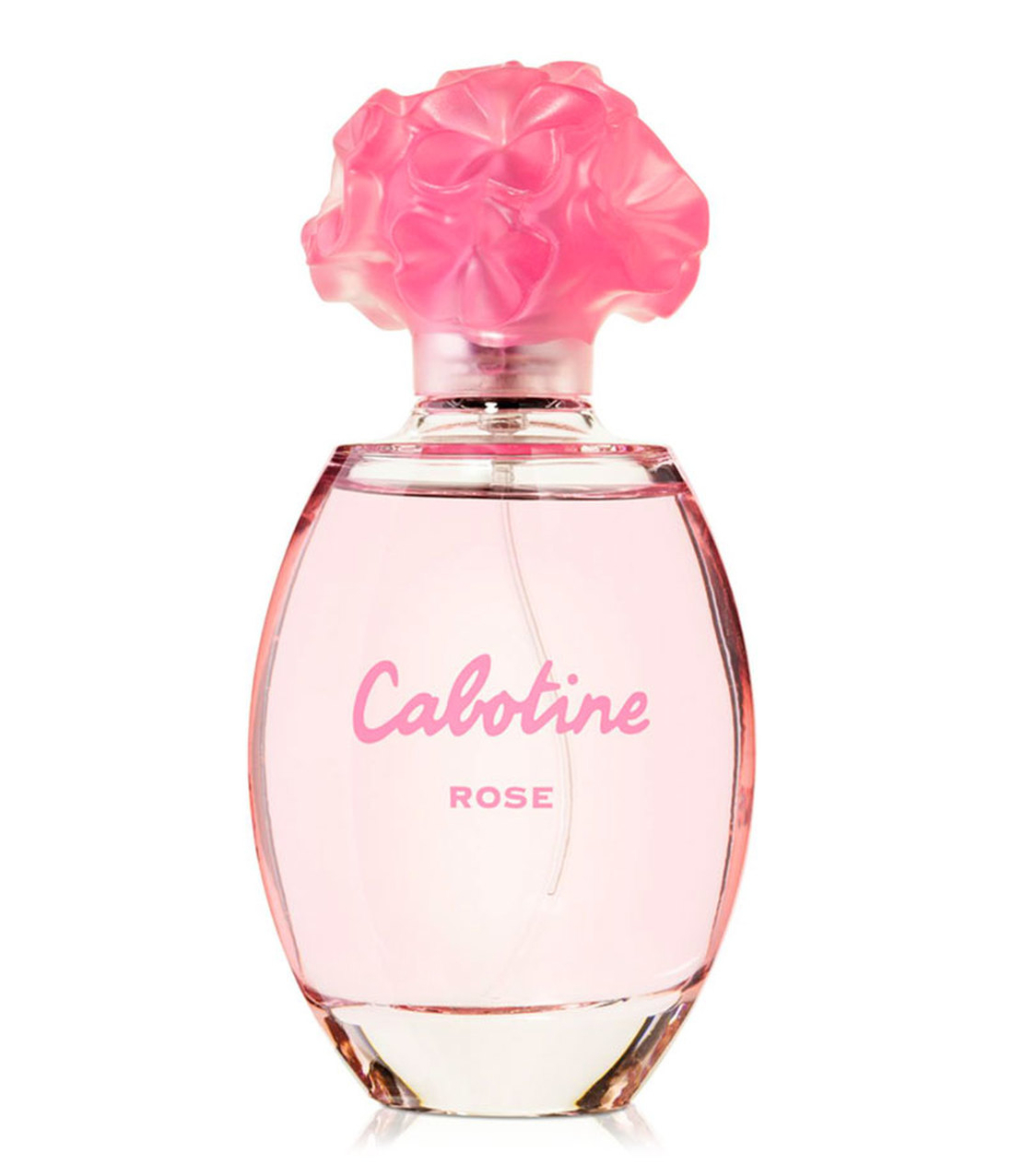 cabotine rose