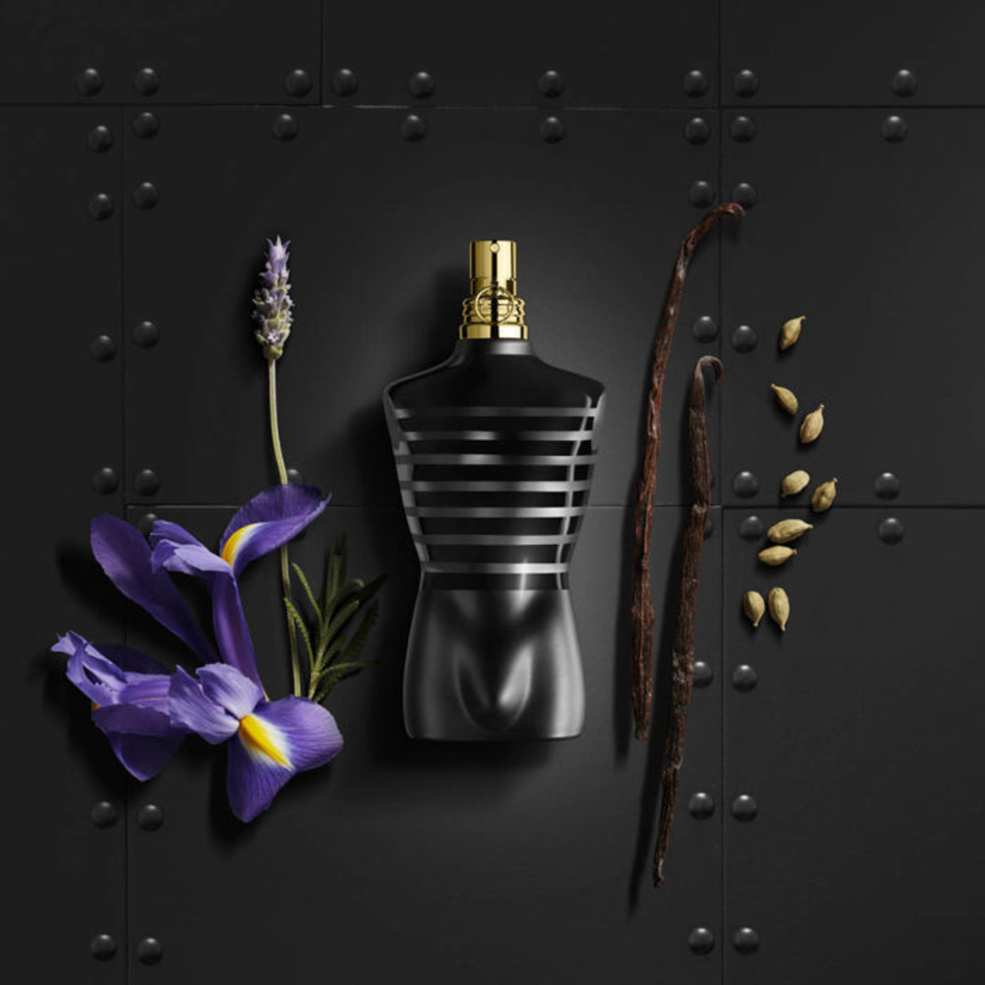 jean paul gaultier le male le parfum
