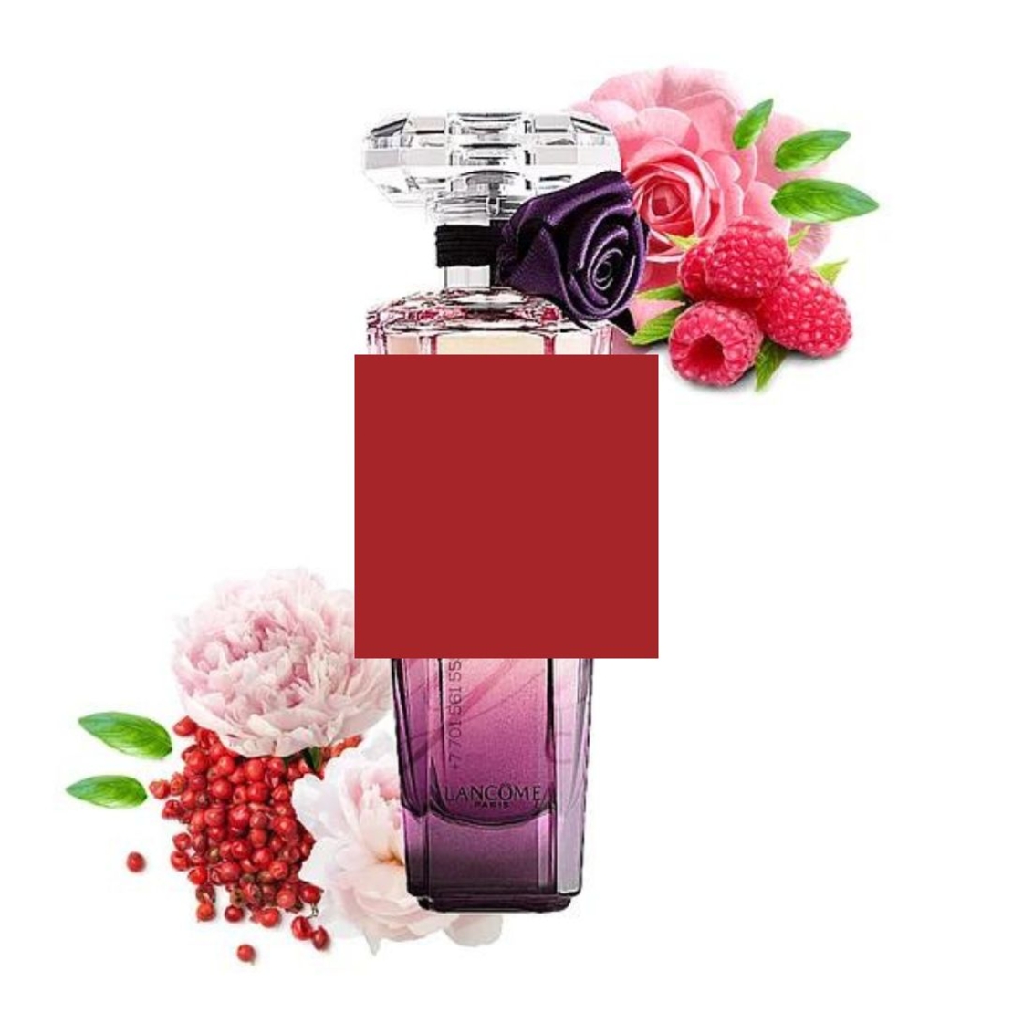 lancome paris-tresor midnight rose
