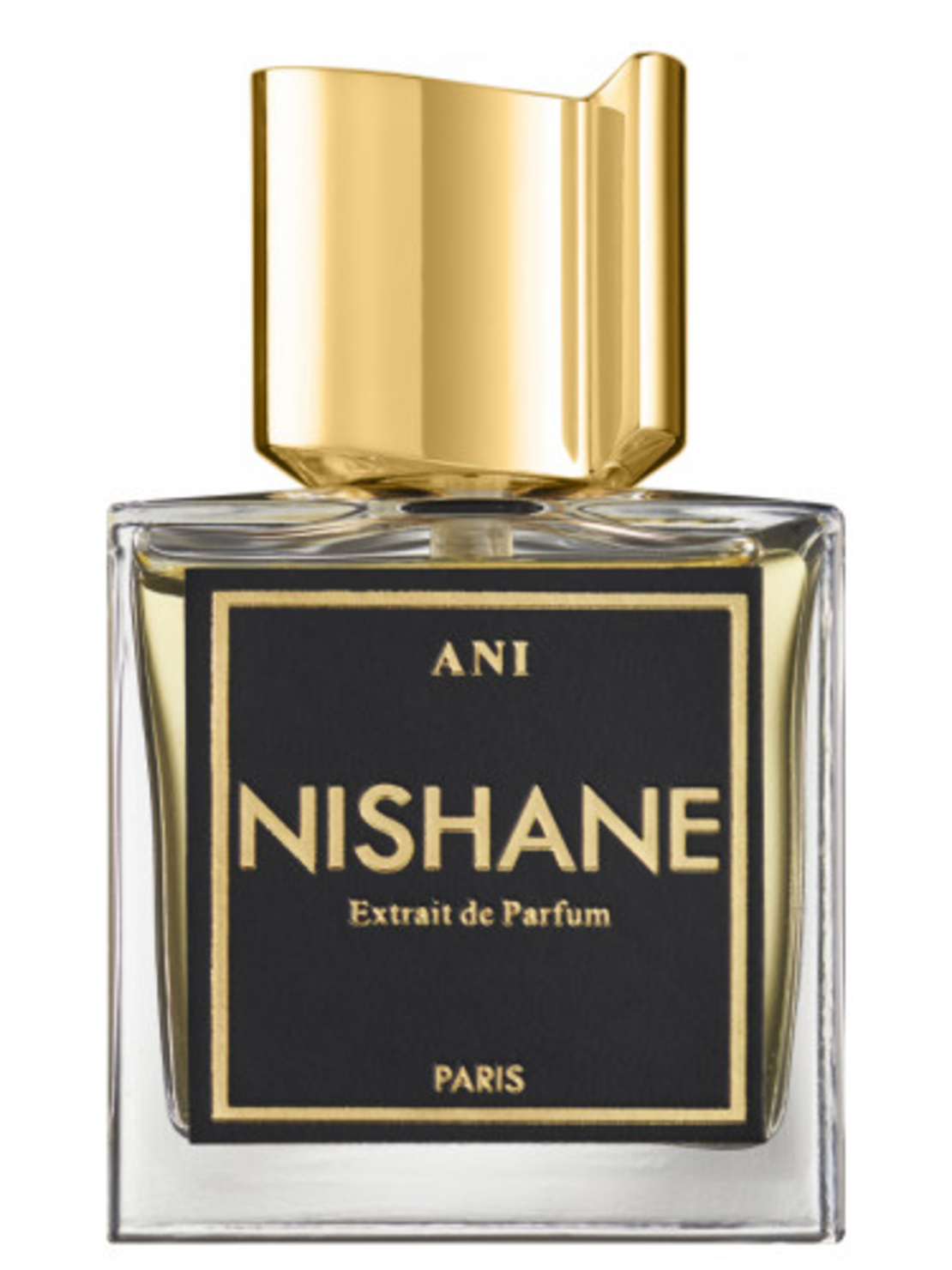 nishane ani
