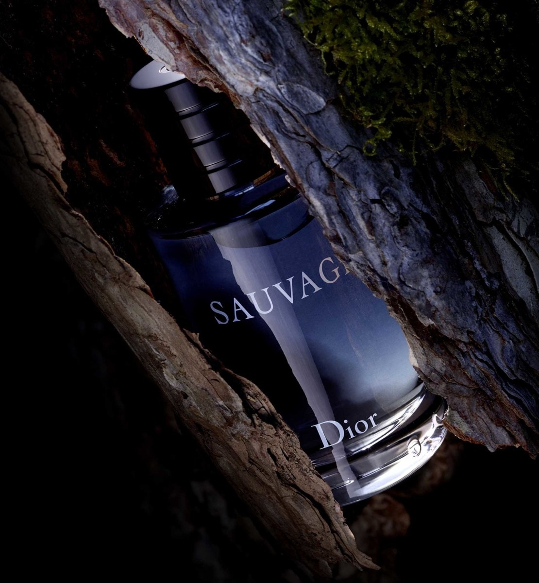 sauvage- eau de toilette 100
