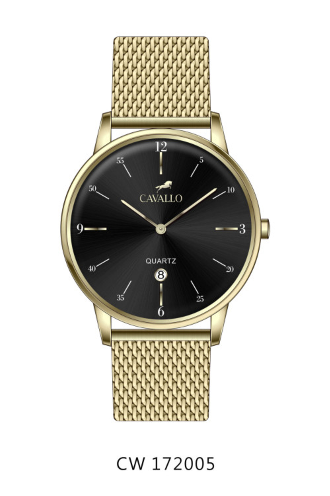 cavallo watch cw172005
