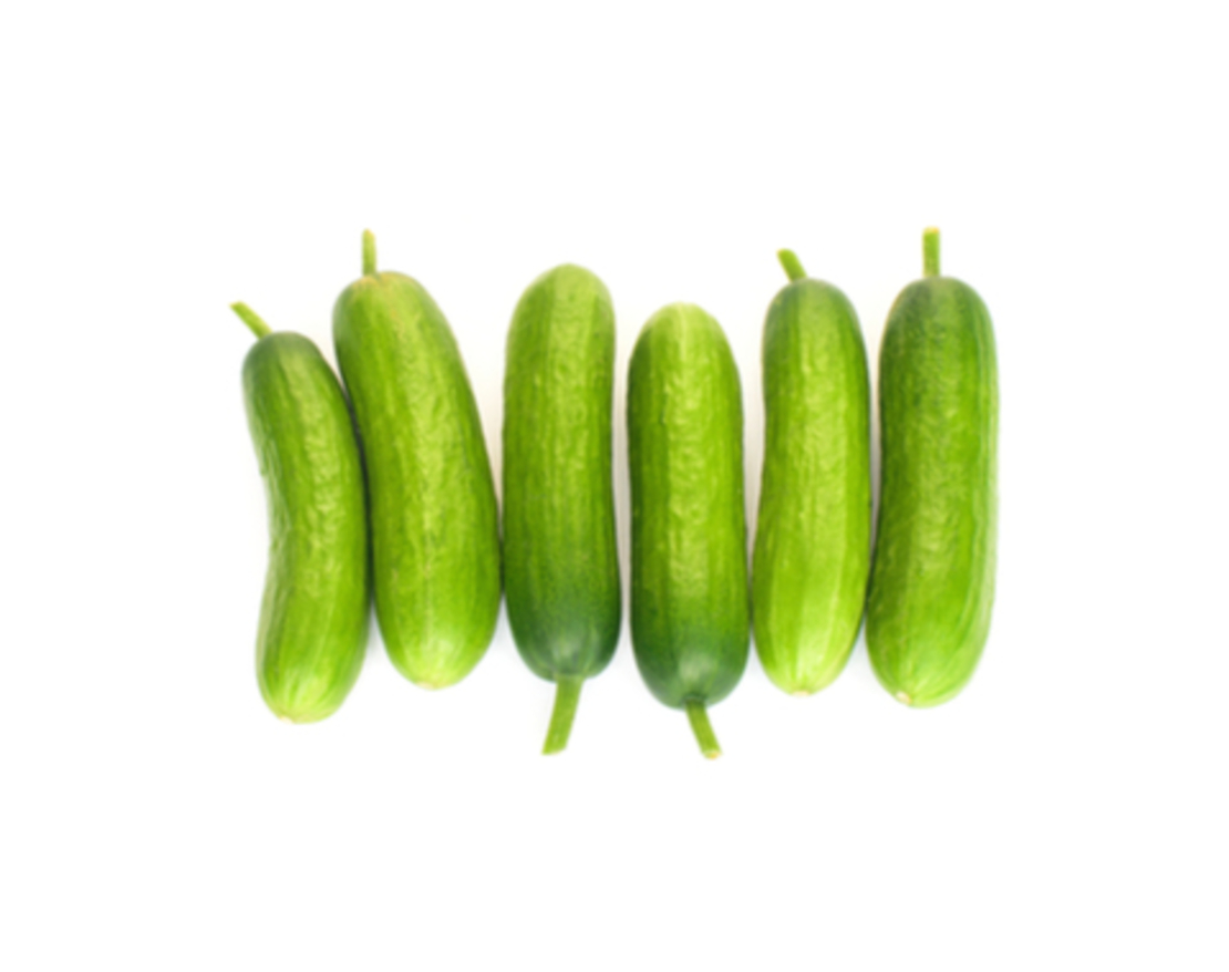 מלפפון בייבי - מארז