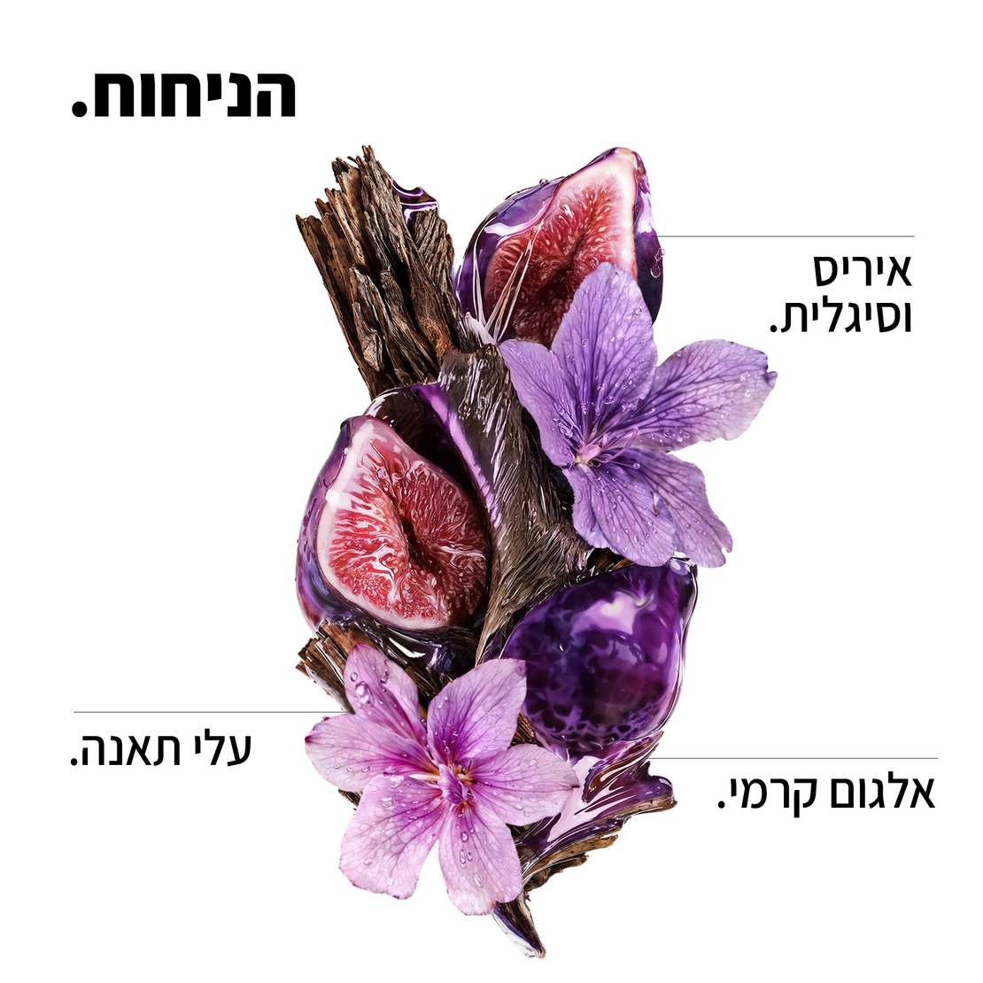 סרום קרטין אלפא סליק - Serum Keratin Alpha Sleek 50 ml