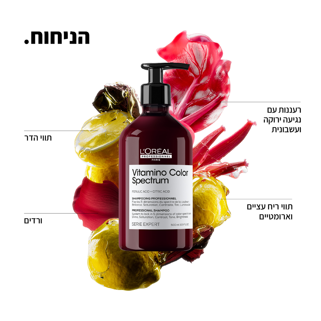 ויטמינו קולור ספקטרום - שמפו ללא סולפט לשיער צבוע